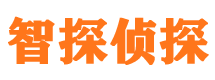 汇川市侦探